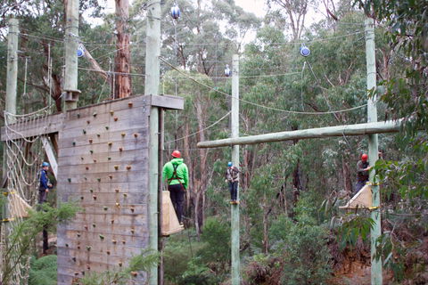 Kinglake Forest Adventures - Accommodation Directory 1