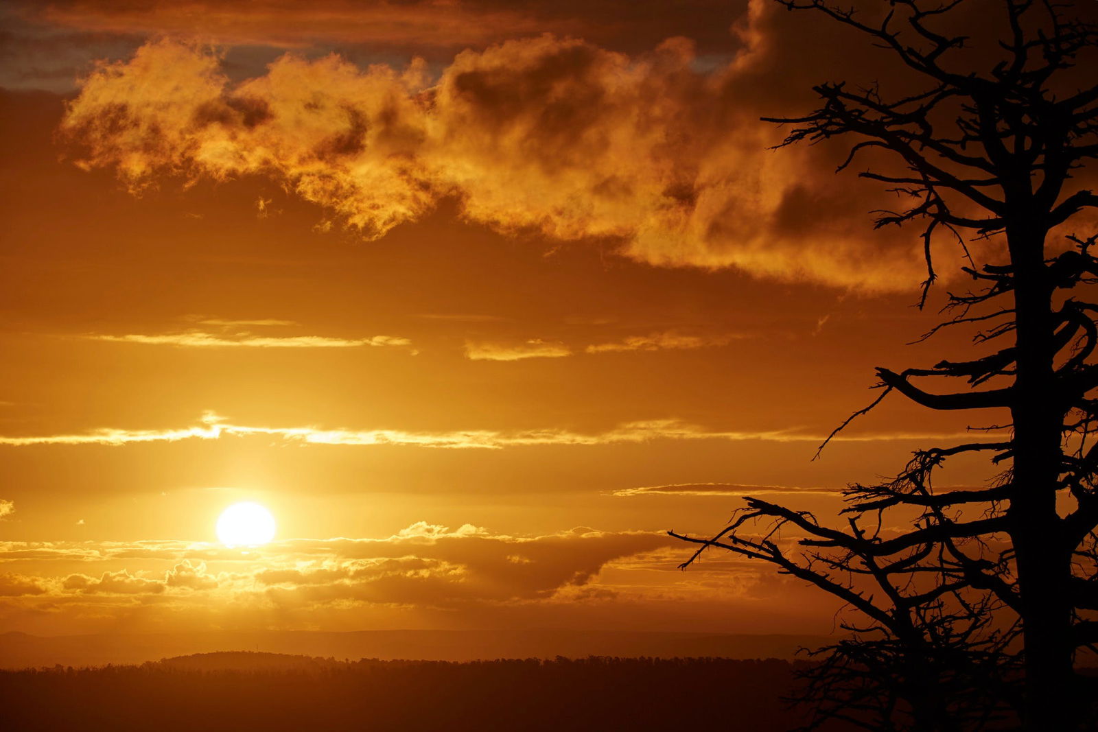 Kinglake Central VIC Accommodation Directory