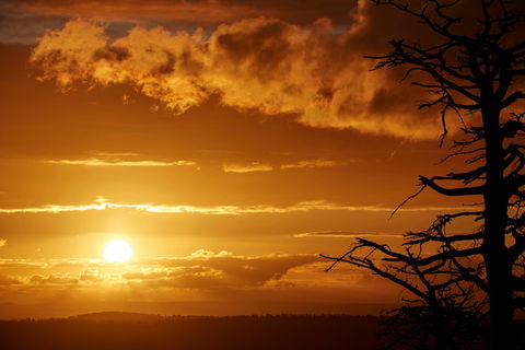 Lady Stonehavens Lookout - Accommodation Directory 0