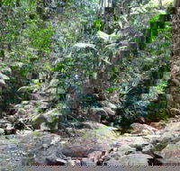 Lyrebird track - Accommodation Directory