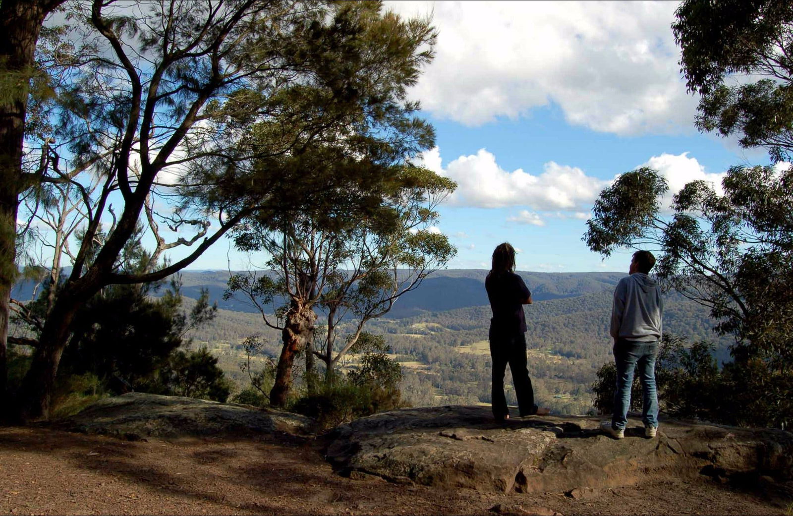 Martinsville NSW Accommodation Directory