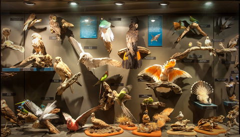 Museum Of Central Australia - Accommodation Directory 2