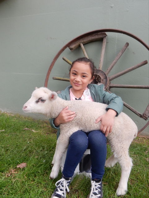 Myuna Farm - Accommodation Directory 0
