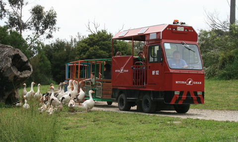 Myuna Farm - Accommodation Directory 2