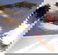 Neale Joseph Fine Art Gallery - Accommodation Directory