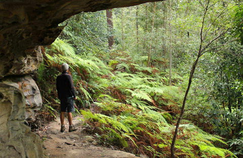 Old Great North Road Bike Ride - Accommodation Directory 0