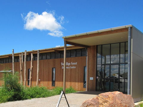 Pilliga Forest Discovery Centre - Accommodation Directory 0