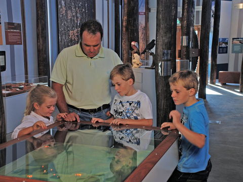 Pilliga Forest Discovery Centre - Accommodation Directory 1