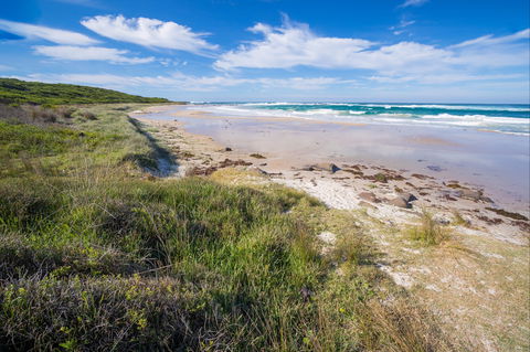 Racecourse Beach: Bawley Point - Accommodation Directory 0