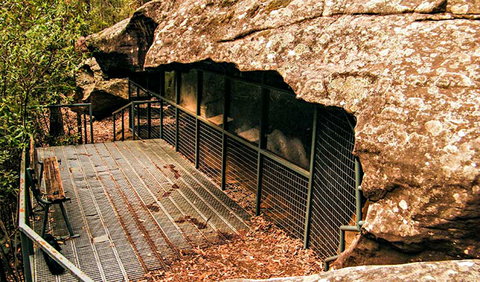 Red Hands Cave Walking Track - Blue Mountains National Park - Accommodation Directory 0