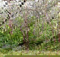 Scutts Hut Trail - Accommodation Directory