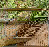 Somersby Falls walking track - Accommodation Directory