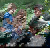 Tamworth Marsupial Park and Adventure Playground - Accommodation Directory