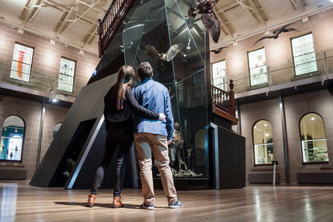 Tasmanian Museum And Art Gallery - Accommodation Directory 1