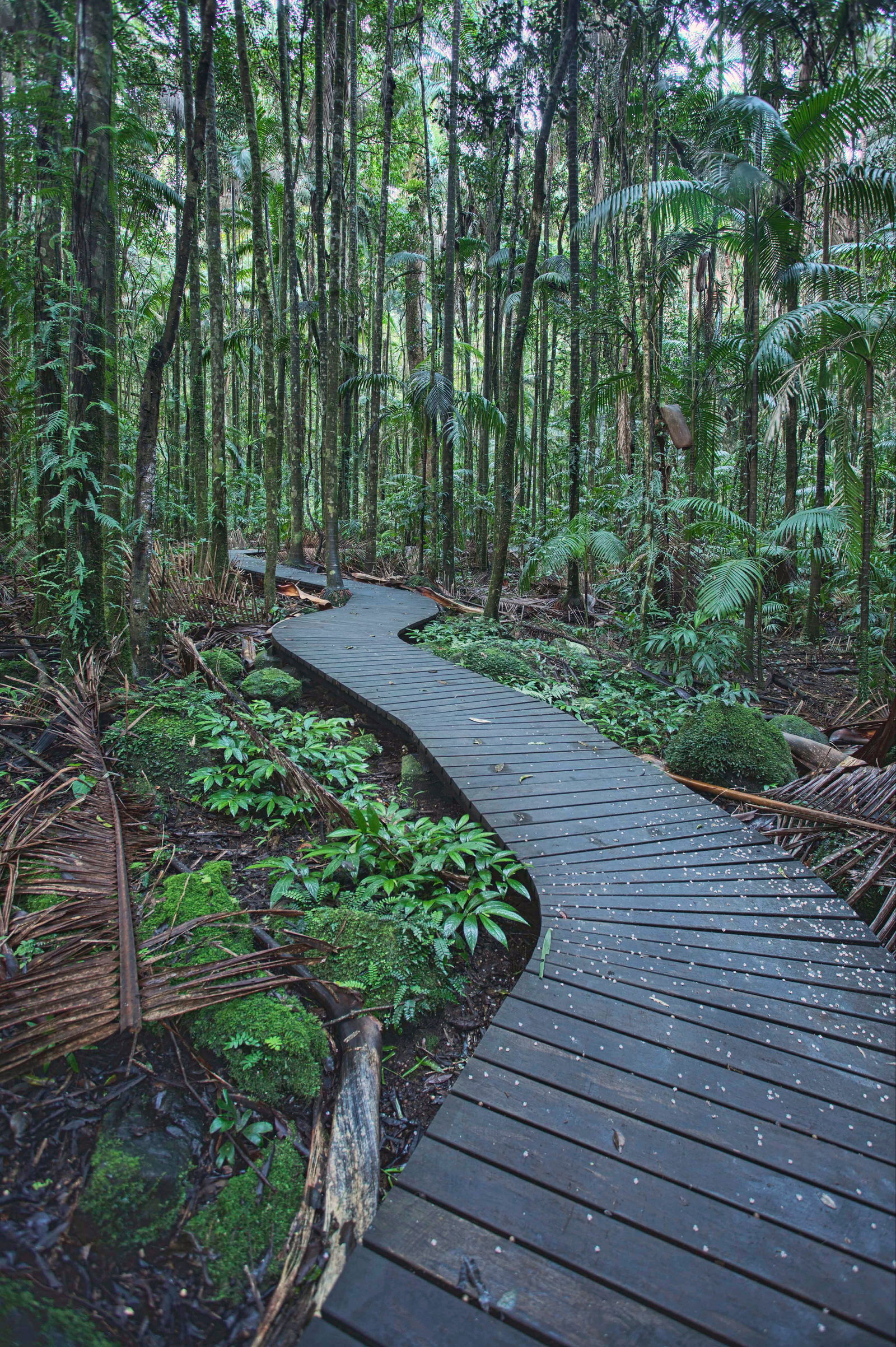 Koonorigan NSW Accommodation Directory