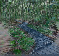 The Channon Protesters Falls Nimbin and Mount Nardi - Accommodation Directory