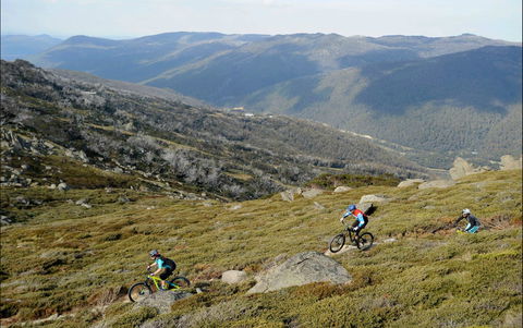 Thredbo Mountain Biking - Accommodation Directory 0