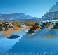 Wagonga Picnic Area - Accommodation Directory