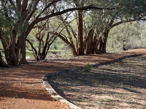 Warrego Floodplain Walking Track - Accommodation Directory 0