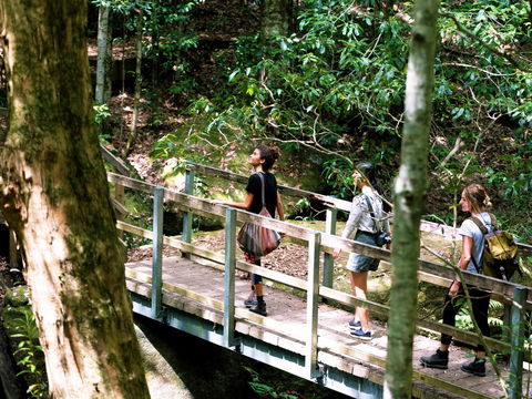 Watagans National Park - Accommodation Directory 0
