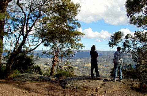 Watagans National Park - Accommodation Directory 1