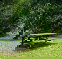 Williams River picnic area - Accommodation Directory