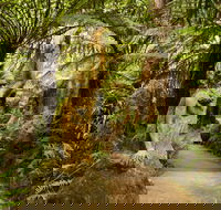 William Ricketts Sanctuary - Accommodation Directory
