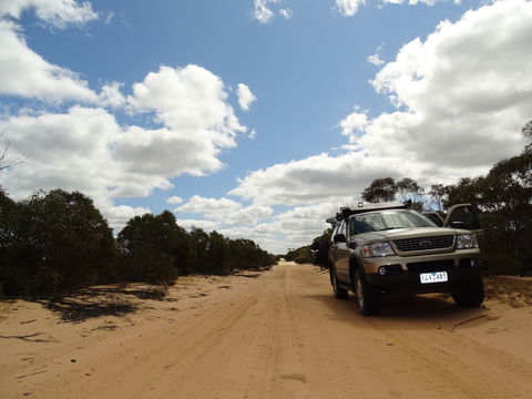 Wyperfeld National Park - Accommodation Directory 1