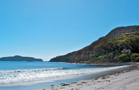 Yacaaba Headland Walking Track - Accommodation Directory 0