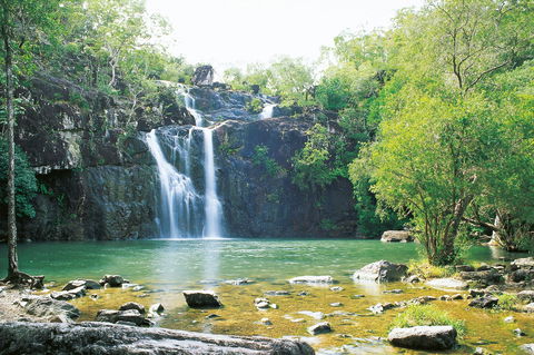 Airlie Beach To Cedar Creek Falls - Accommodation Directory 0