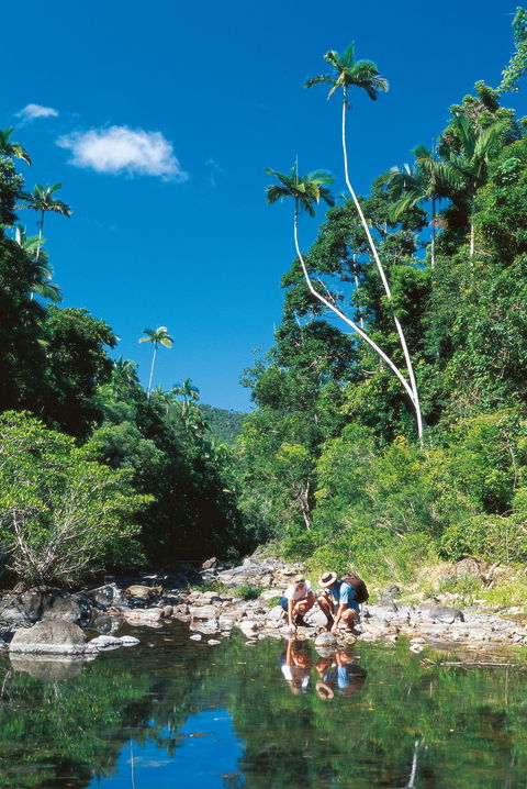 Airlie Beach To Cedar Creek Falls - Accommodation Directory 1