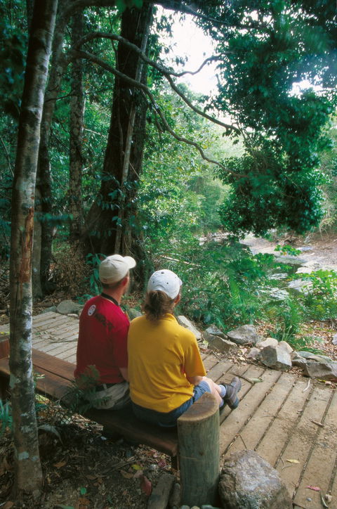 Airlie Beach To Cedar Creek Falls - Accommodation Directory 2