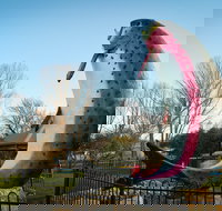 Big Trout - Accommodation Directory