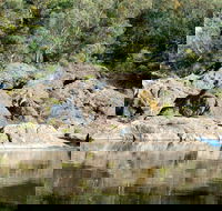 Boonoo Boonoo National Park - Accommodation Directory