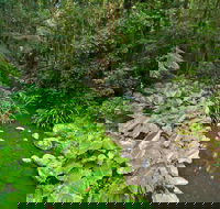 Brindle Creek Picnic Area - Accommodation Directory