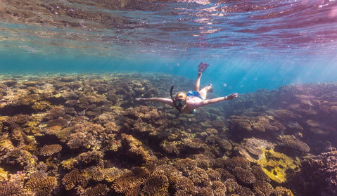 Complete Ningaloo Reef Experience - Accommodation Directory 1