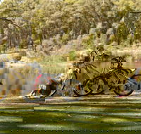 Creswick Regional Park - Accommodation Directory