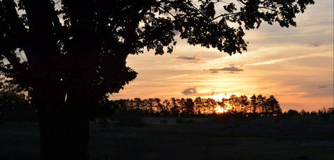 Dangar's Lagoon And Racecourse Lagoon - Accommodation Directory 0