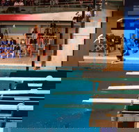 Dive Into History at Sydney Olympic Park Aquatic Centre - Accommodation Directory