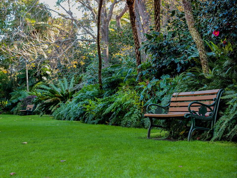 EG Waterhouse National Camellia Gardens - Accommodation Directory 0