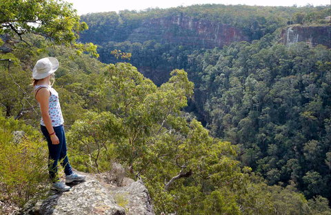 Glenbrook Gorge Track - Accommodation Directory 0
