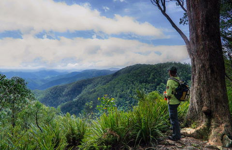 Gloucester Falls Walking Track - Accommodation Directory 0