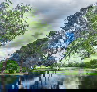 Gold Coast Regional Botanic Gardens - Accommodation Directory