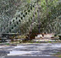 Goonoowigall State Conservation Area - Accommodation Directory