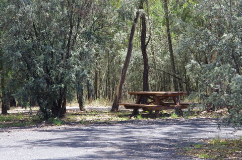 Goonoowigall State Conservation Area - Accommodation Directory 0