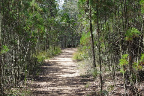 Goonoowigall State Conservation Area - Accommodation Directory 1