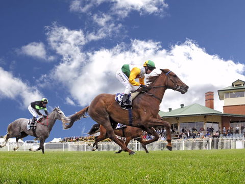 Goulburn And District Racing Club - Accommodation Directory 0