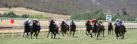 Goulburn And District Racing Club - Accommodation Directory 1