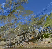 Green track - Accommodation Directory