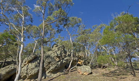 Green Track - Accommodation Directory 0